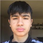 Insegnante madre lingua cinese